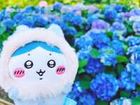 https://images.plurk.com/6vPq1TTQ03H6I17O0gONqU.jpg