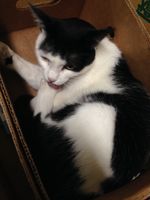 https://images.plurk.com/6vVsd2kUmT6DcmCmGnjHv4.jpg