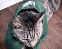 https://images.plurk.com/6vWTotADLhWzCcnTkQmFCA.jpg