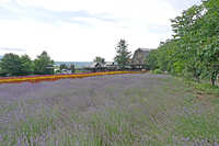 https://images.plurk.com/6vcBBM976KHlG2d85pENBO.jpg