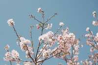 https://images.plurk.com/6vdxHBxwqKxX5cdXJ2PjSO.jpg