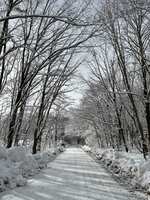 https://images.plurk.com/6vjJ5tvfeQOr3z0cTHqLT6.jpg