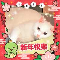 https://images.plurk.com/6vnh6abiN4f4OTHfhXloKH.jpg