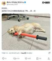https://images.plurk.com/6vo8M0PhOowaA6Sf7XDBQs.jpg