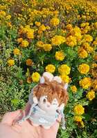https://images.plurk.com/6vzrlb1wqy8fnUccmUOabF.jpg