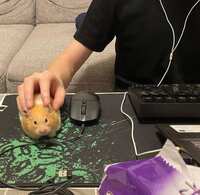 https://images.plurk.com/6w165ULsQEkVA6Xvbt382l.jpg