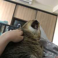 https://images.plurk.com/6w7tNizRNqow9I8Kg0dpLF.jpg