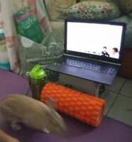 https://images.plurk.com/6w9O8H2e7OwSMRvIe2apo.jpg