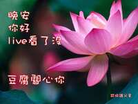 https://images.plurk.com/6wDKCGlMRQV8d1NPScd1Eh.jpg