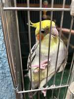 https://images.plurk.com/6wGJzp8CNGUWmG1k2V5SSu.jpg