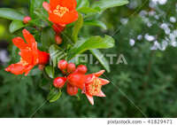 https://images.plurk.com/6wMjGXjcpQIzsEprN4FsdZ.jpg