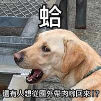 https://images.plurk.com/6wN3ubXql4Smauh96z9Nuv.jpg