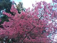 https://images.plurk.com/6wNnFTjE51ACEFjAFRLKt8.jpg
