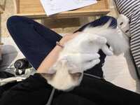 https://images.plurk.com/6wQ9wS3nJuzeRTMkYp5U2D.jpg