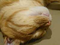 https://images.plurk.com/6wTjbypDodJ9s15JTr4NZY.jpg