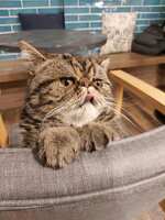 https://images.plurk.com/6wUebQyxqKnotGtw9UBFVJ.jpg