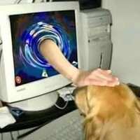 https://images.plurk.com/6wY1q4yWMjooiYilbcPulL.jpg