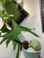 https://images.plurk.com/6wbjtojgSxPOebnjQ9DgDV.jpg