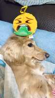 https://images.plurk.com/6whlasfwo0XYQfD5nPwA5N.jpg