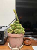 https://images.plurk.com/6wlqXUZSwoNqjUGAEo5aMx.jpg