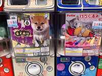 https://images.plurk.com/6wnU1791iGpIvTIdw3dHxp.jpg