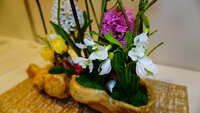 https://images.plurk.com/6wtelxBF2kkwENepsKoNkc.jpg