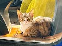 https://images.plurk.com/6wyMK9P7HB93GmYv6yO2Kh.jpg