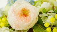https://images.plurk.com/6wyoVl0awmKa1yljSMp7jk.jpg