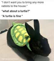 https://images.plurk.com/6wyuQ7FITWAHzahrF9lTgj.png