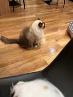 https://images.plurk.com/6x5l18zSypHHi1BxSLiV64.jpg