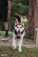 https://images.plurk.com/6xHZArQWJ2wZHZhhCAtikZ.jpg