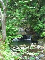 https://images.plurk.com/6xKFt54RsHAz4jTWu2jle7.jpg