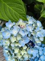 https://images.plurk.com/6xLcyKZrNH1FRw2DztLri4.jpg