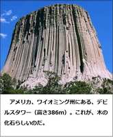 https://images.plurk.com/6xN7j801USH54cfuon9w1Y.jpg