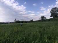 https://images.plurk.com/6xRanE3pCjWmayGZBAVYKI.jpg