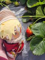 https://images.plurk.com/6xSveXMAA5DPMxGewHVItL.jpg