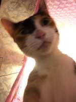 https://images.plurk.com/6xTJJgZsN9oP2vIluTAvrg.jpg