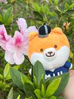 https://images.plurk.com/6xmjNHVwGS4NRqBRMFfOly.jpg