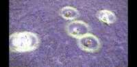 https://images.plurk.com/6xp0EOHOnns1Swhw1byQZ4.png