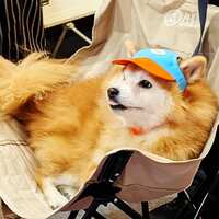 https://images.plurk.com/6xxI35LA1OWQmFYHWUWOh5.jpg