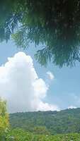 https://images.plurk.com/6xxiZJUf7aXmWLjNEkUgu3.jpg