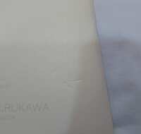 https://images.plurk.com/6y13SKfecRqWQoazf35d2O.jpg
