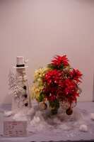 https://images.plurk.com/6yPWhFibqIX0rjUDGYZn59.jpg
