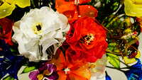 https://images.plurk.com/6ygtbBI7RglzCLUvjppOWt.jpg