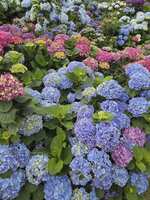 https://images.plurk.com/6yhmiVb4NuXW9cBCAPuAVA.jpg