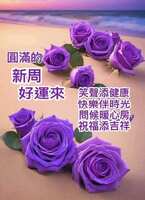 https://images.plurk.com/6yi5J2xuPKo36zzhpsX6HM.jpg