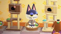 https://images.plurk.com/6yiMACN43r6i8m1CXITxxG.jpg