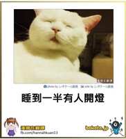 https://images.plurk.com/6yswHYKiQTFsRiiOgYpTEU.jpg
