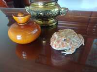 https://images.plurk.com/6z4rsTX7LBbLhAtEfqVn7P.jpg