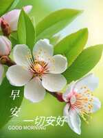 https://images.plurk.com/6zBg2mnetLoXI70st97q5R.jpg